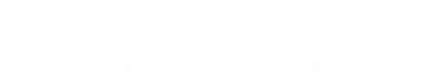 2FG logo
